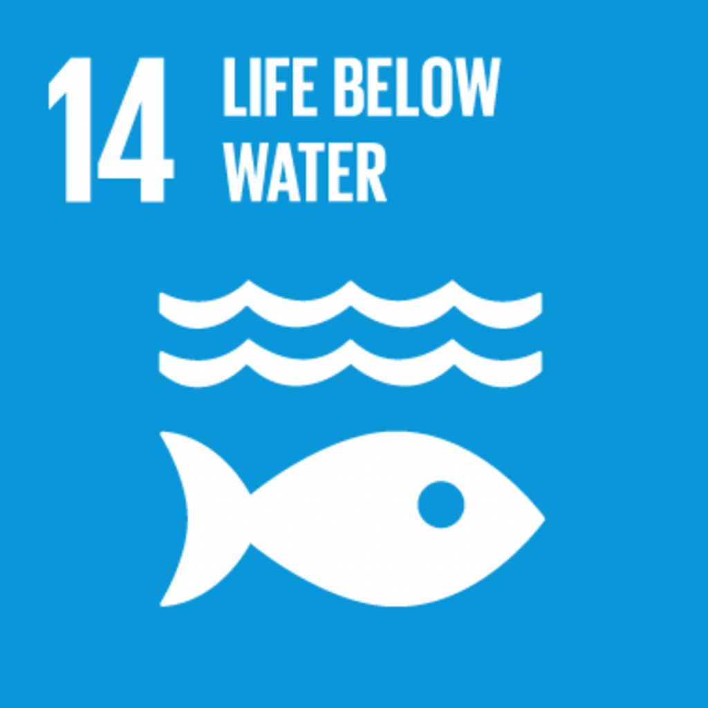 UN Sustainable Development Goal Number 14 - Life Below Water