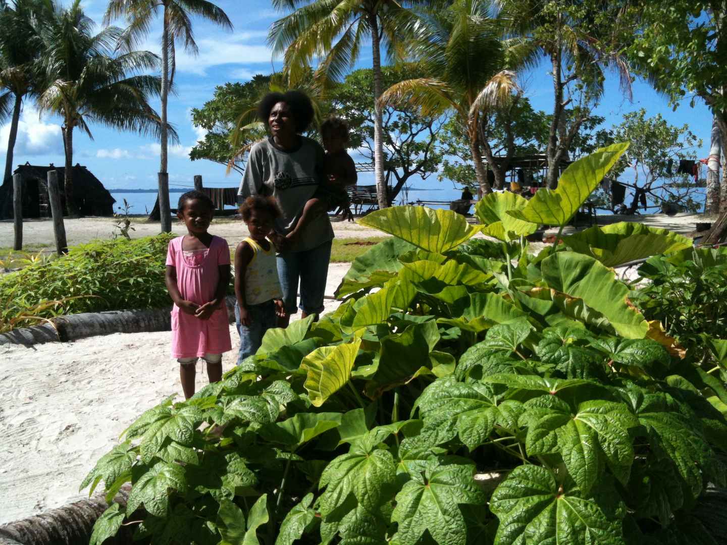 gallery-atoll-women-wantaim-png-manus-9