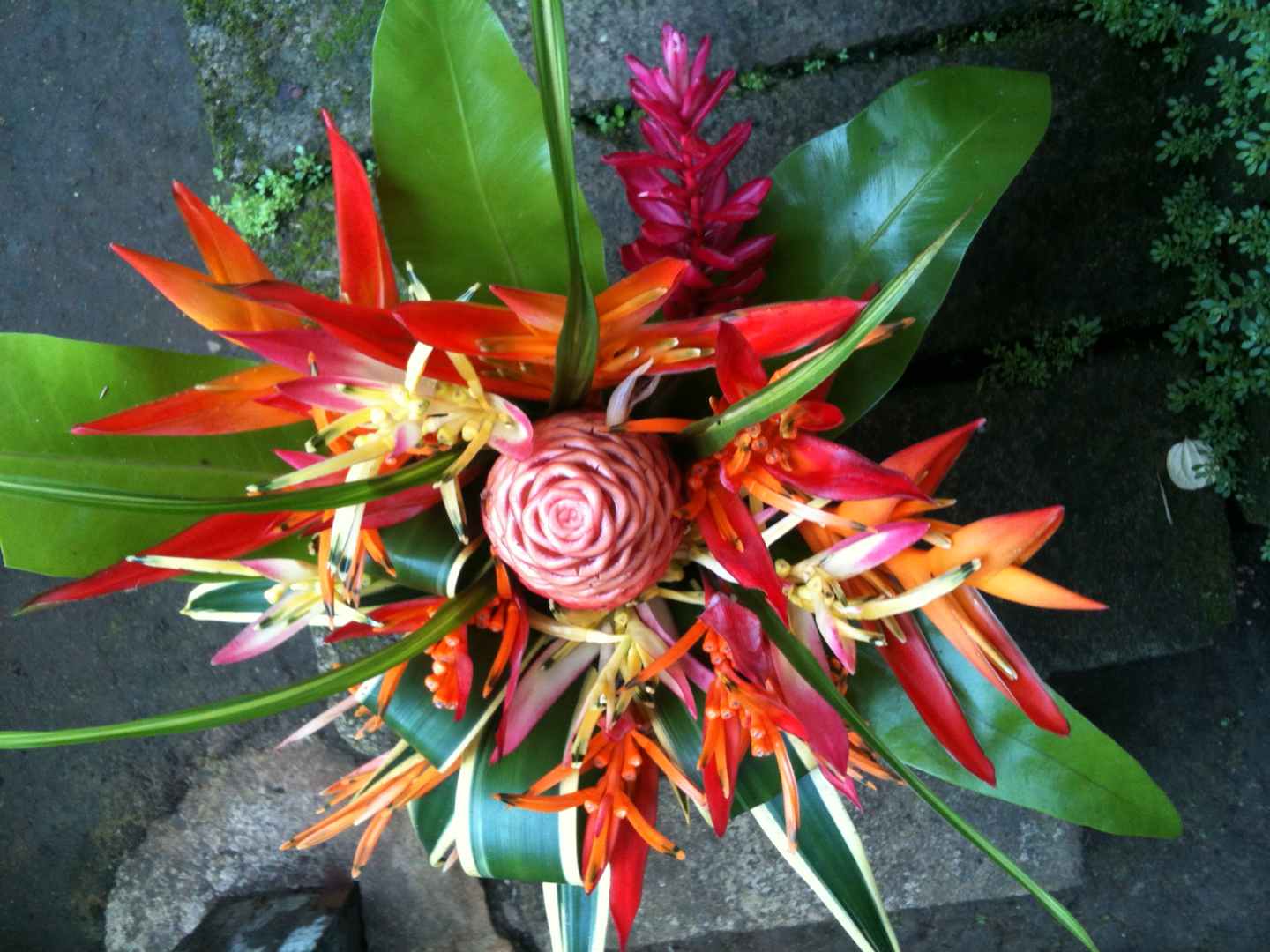 gallery-flowers-women-wantaim-png-manus-4